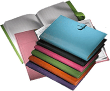multi colored leather journals